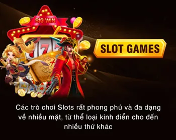 Hệ thống theo dõi hiệu suất